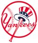 Yankees baseball team logo